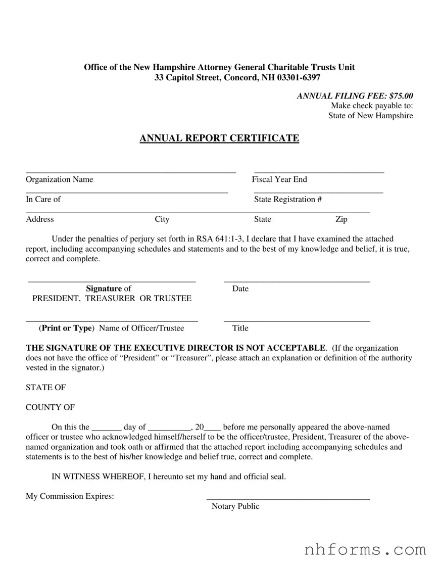 Nh Annual Report Template
