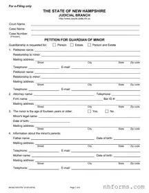 Nh Petition Guardianship Template